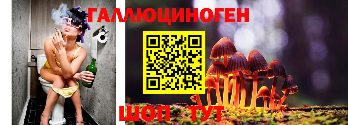 Гусь-Хрустальный  Псилоцибиновые грибы Cubensis  Вход с VPN 
